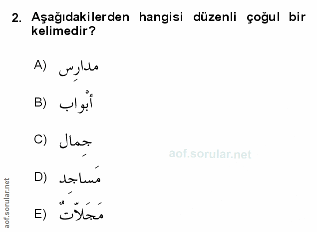 Soru 2