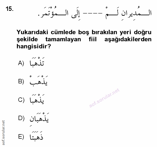 Soru 15