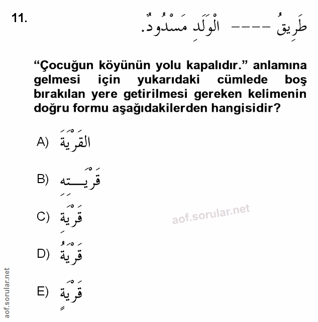 Soru 11