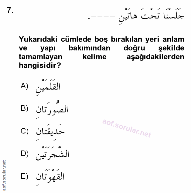 Soru 7