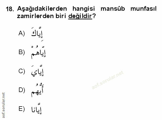 Soru 18
