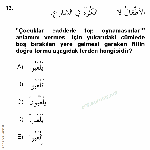Soru 18