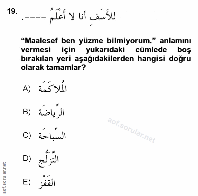 Soru 19