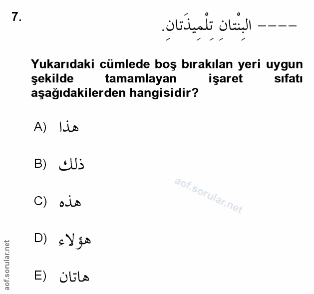 Soru 7