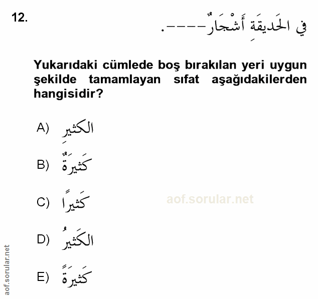 Soru 12