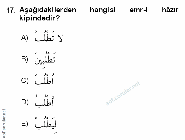 Soru 17