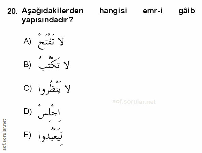 Soru 20