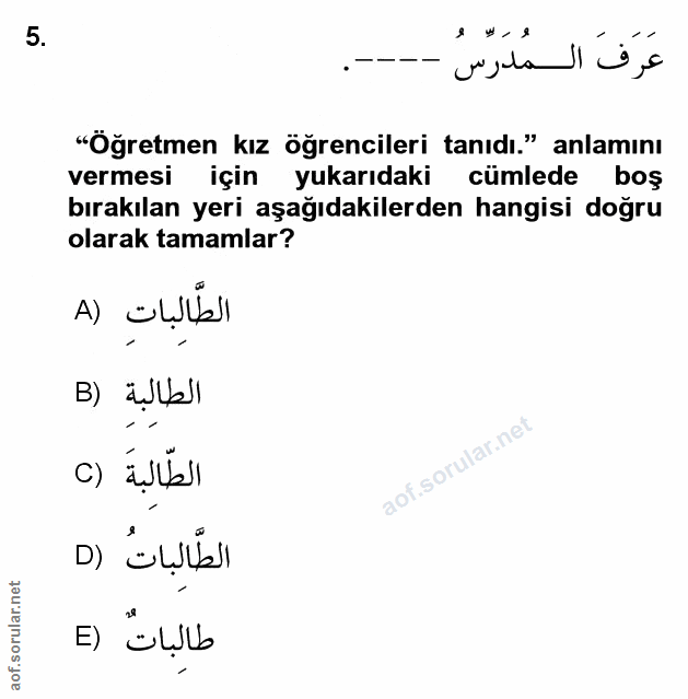 Soru 5
