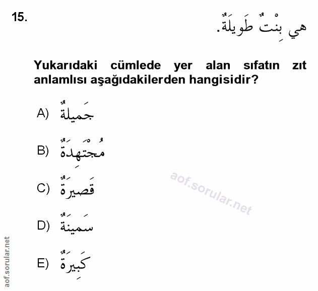 Soru 15