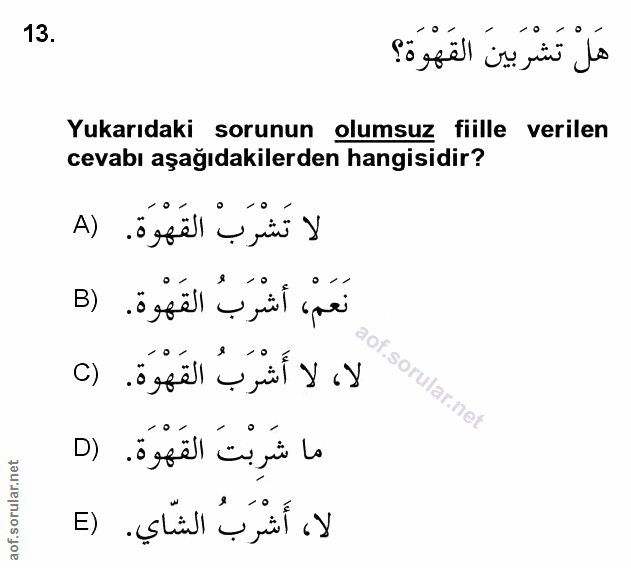 Soru 13