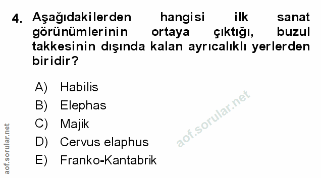 Soru 4