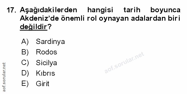 Soru 17