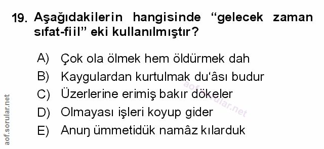 Soru 19