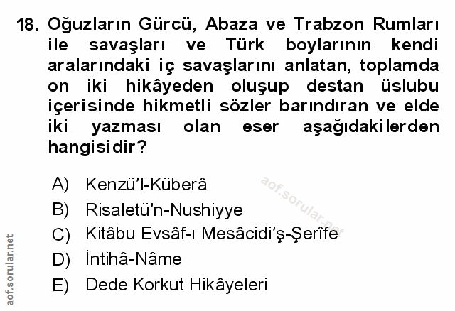 Soru 18