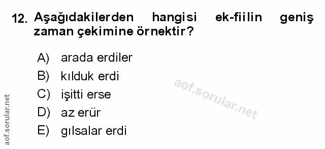 Soru 12