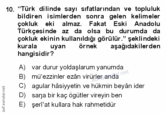 Soru 10