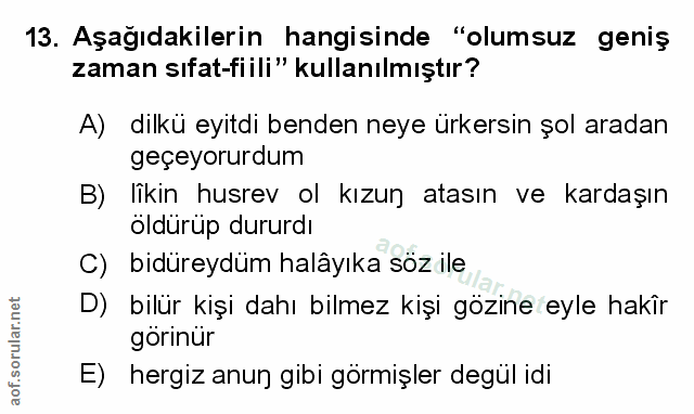 Soru 13