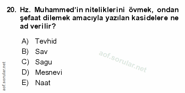 Soru 20