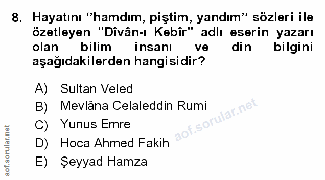 Soru 8