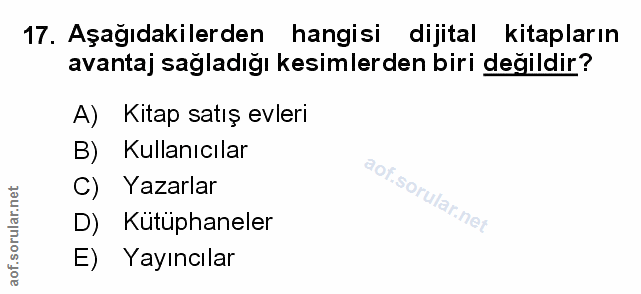 Soru 17