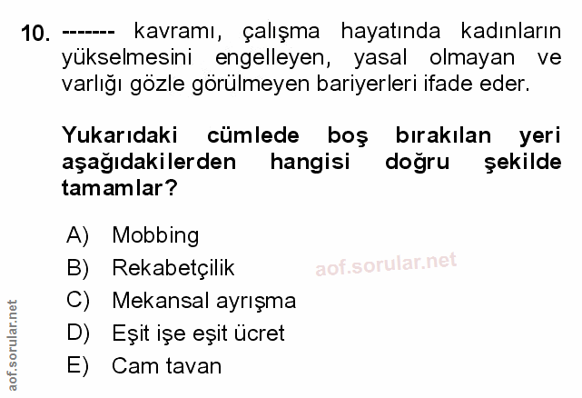 Soru 10