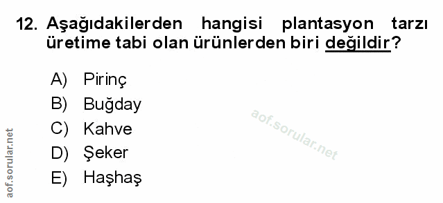 Soru 12