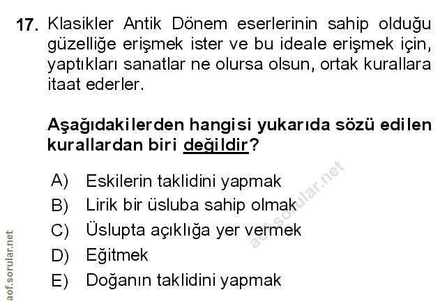 Soru 17