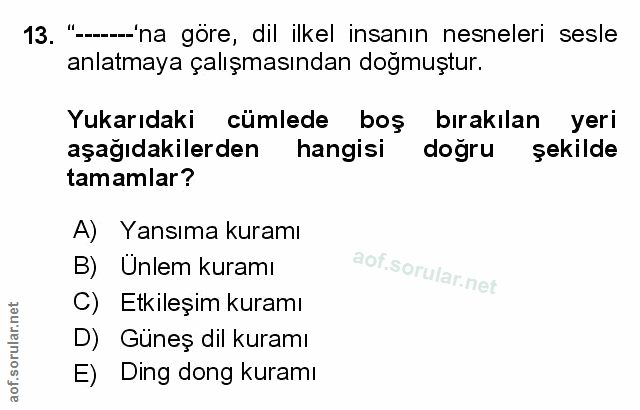 Soru 13