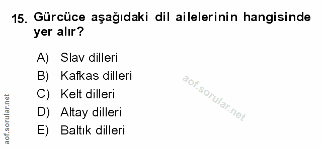 Soru 15