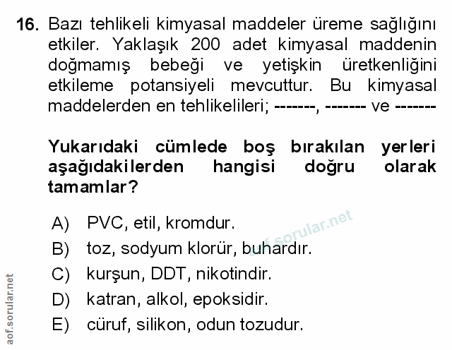 Soru 16