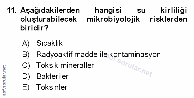Soru 11