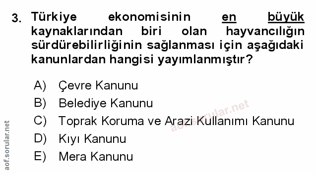 Soru 3