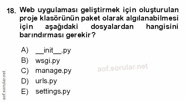 Soru 18