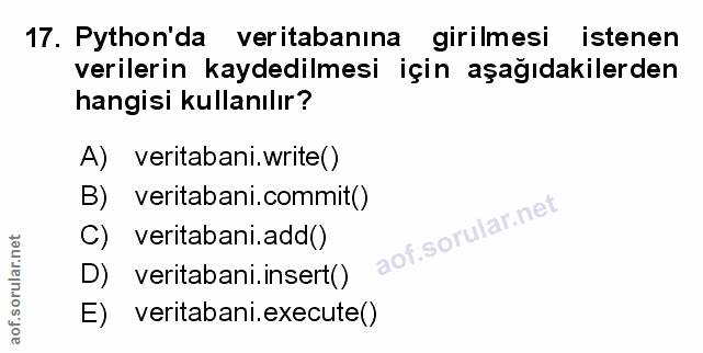 Soru 17