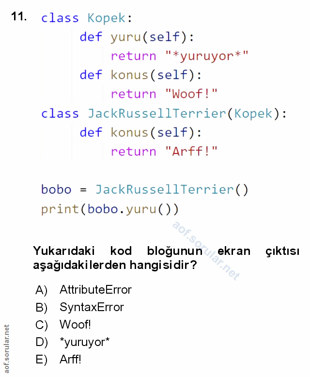 Soru 11