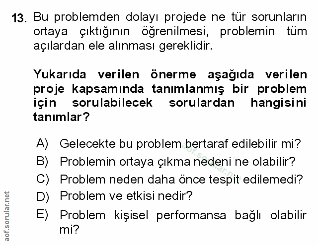 Soru 13