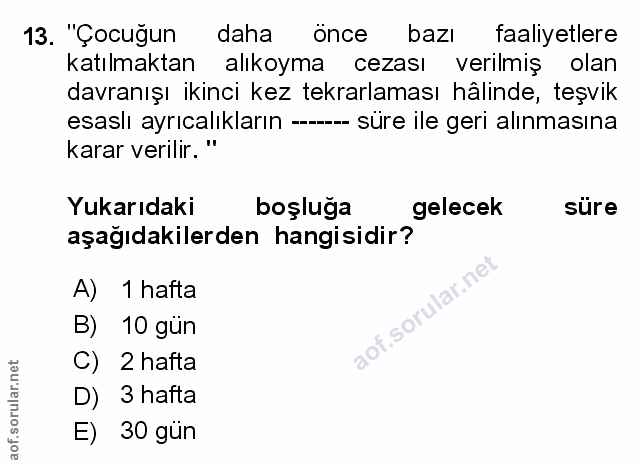 Soru 13