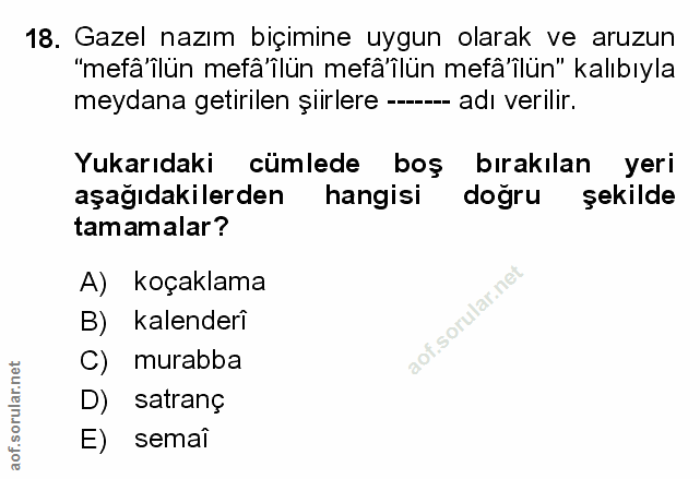 Soru 18