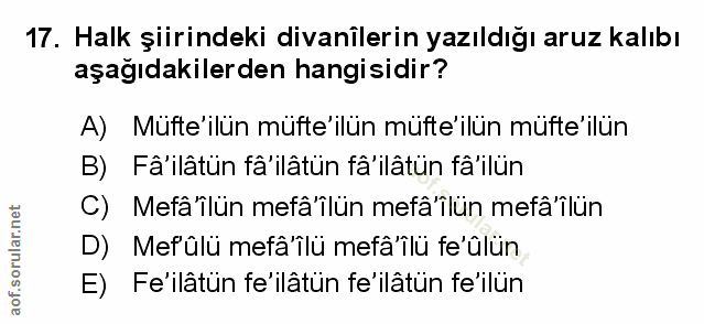 Soru 17