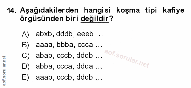 Soru 14