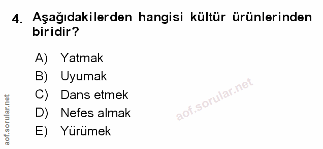 Soru 4
