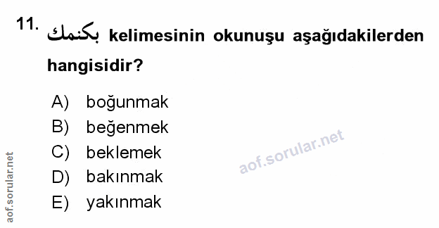 Soru 11