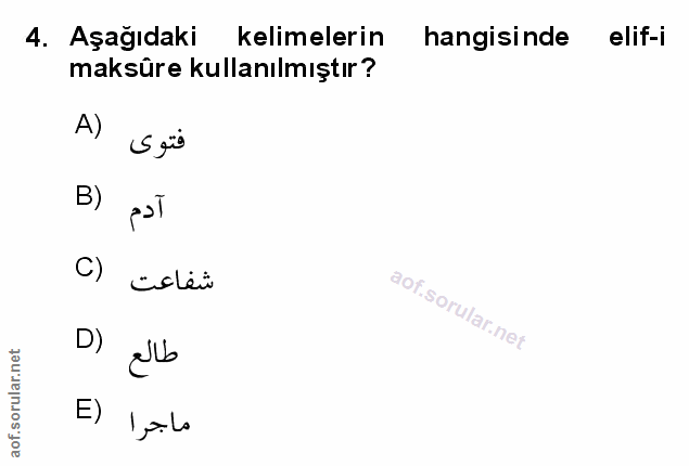 Soru 4