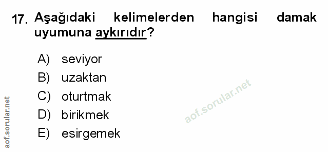 Soru 17