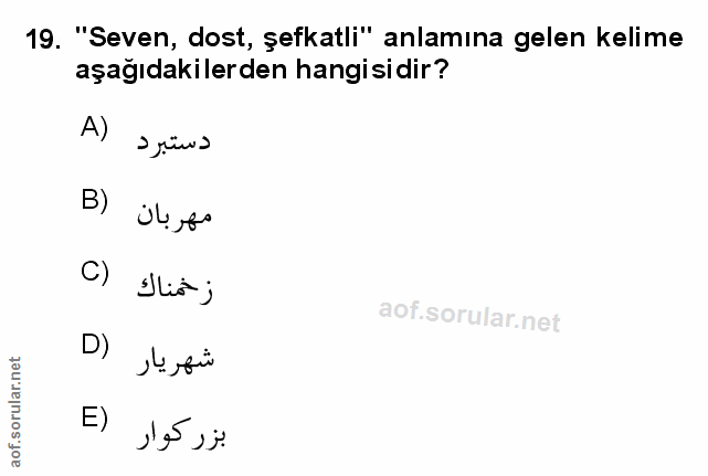 Soru 19