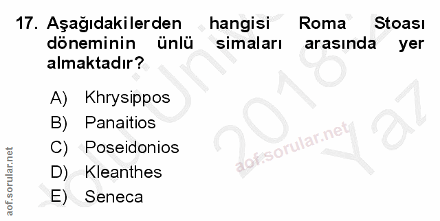Soru 17