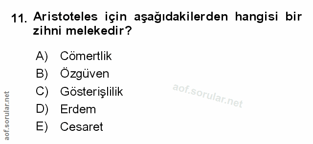 Soru 11