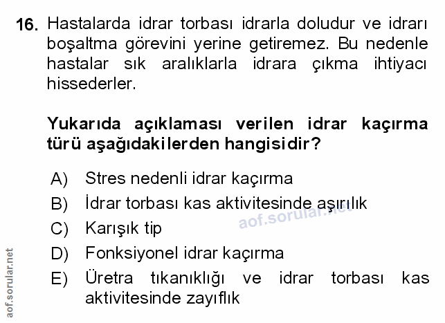 Soru 16