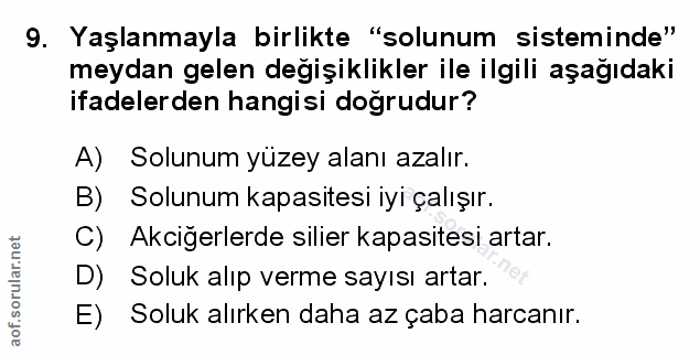 Soru 9