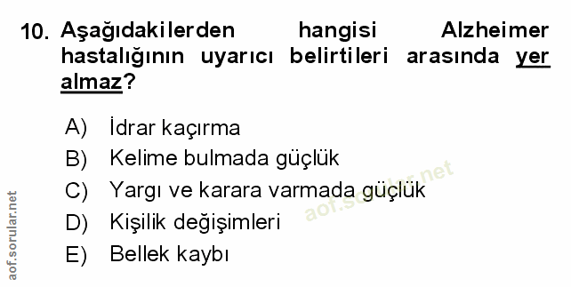 Soru 10